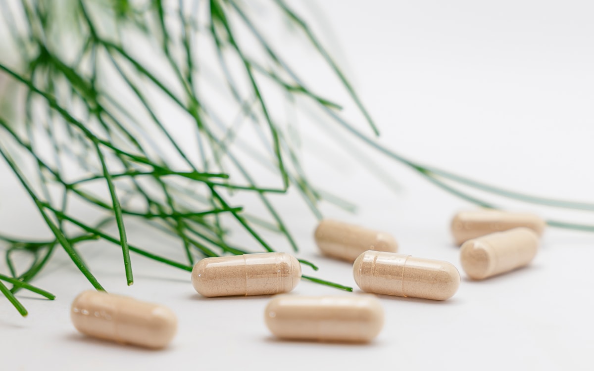 Understanding Your Gut Microbiome